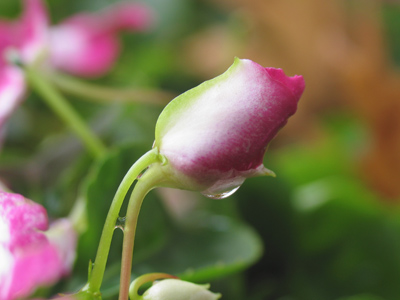 Now that`s optimism.