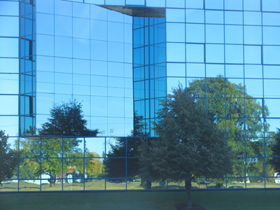 They`ll have twice as many leaves to rake.