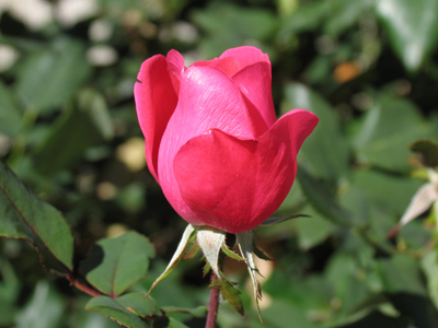 Enjoy it while you can.