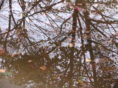 Look down to see the sky.