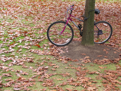 Hear the slithering crunch of rubber tires rolling across a leafy yard.