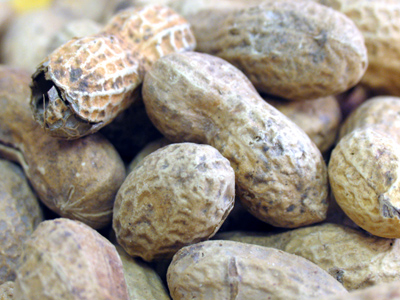 Free sample, take one.