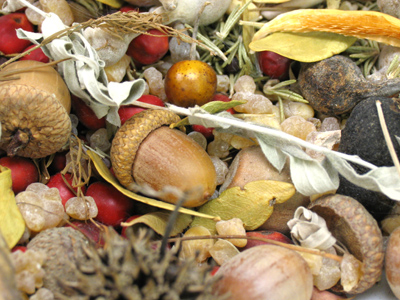 Nature cereals have really gone too far lately.