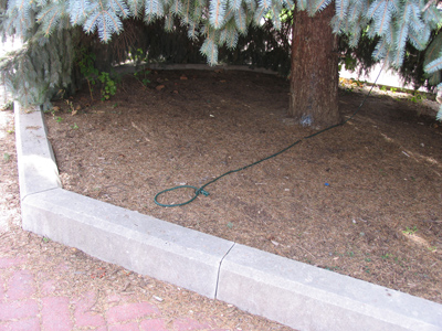 I`m not falling for THAT old trap.