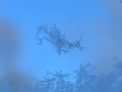 I had to contend with this on my windshield this morning.