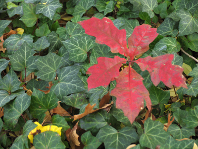 You`ve really got me seeing red now.