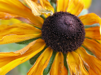 Today was the first day I actually had to wear gloves while taking pictures.