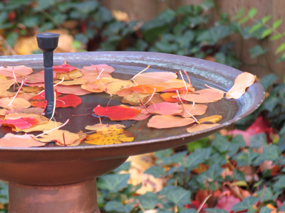 How come this one wasn`t frozen like the first?