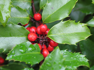 Nicer than anything you could buy in a store.