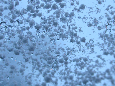 I had this to contend with on my windshield this morning.