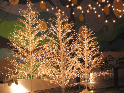 Nobody was dining at this restaurant`s outdoor patio.  `Waiter, there`s an icicle in my soup.`