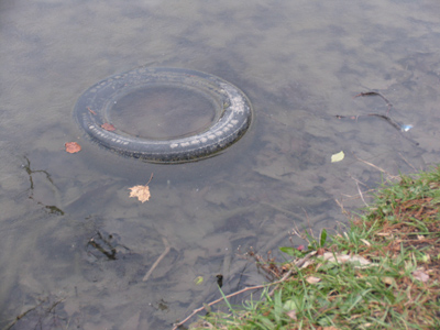 Somewhere there is a Native American with a tear running down his cheek.