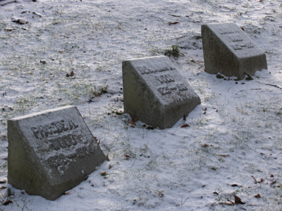 I sit beside the fire and think of how the world will be when winter comes without a spring that I shall ever see. J.R.R. TOLKIEN