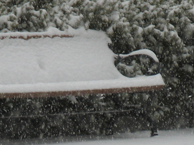 This was not just a nice polite snowfall.