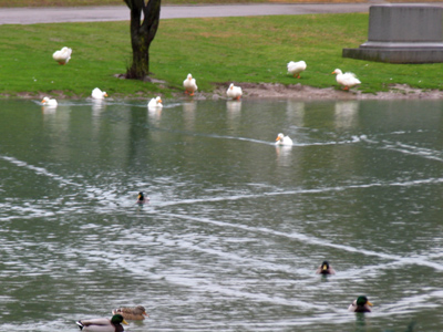 A triangle is kind of like a natural shape, but not exactly.