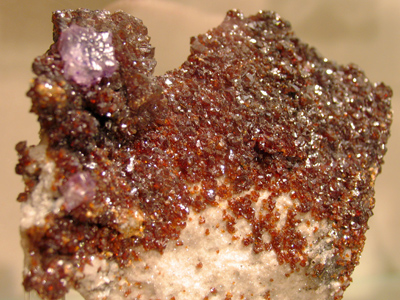 I`d like you to meet my friend Gem.