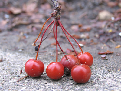 It gave me a whole new perspective on the world around me.