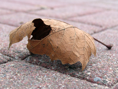 I have greater compassion for the downtrodden.