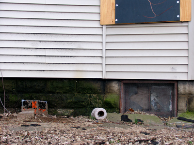 `Make it extremely squalid and moving,` she suggested. `Are you at all acquainted with squalor?`