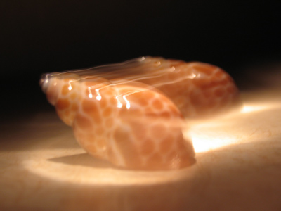 Homage to Harold Edgerton.