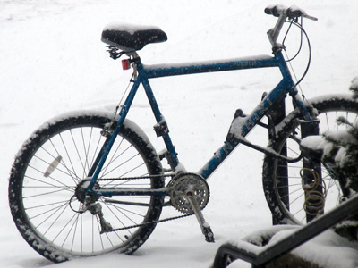 Should`ve taken the bus.