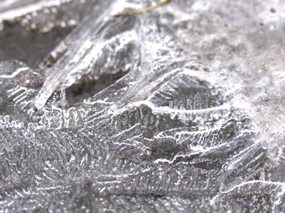 Forget what I said yesterday about a thaw.