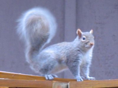 `Take my picture?  Okay, but I want creative control.`