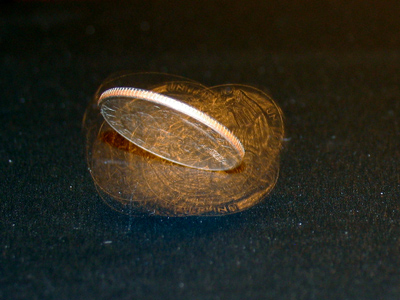  . . . a dizzying spin out of control.