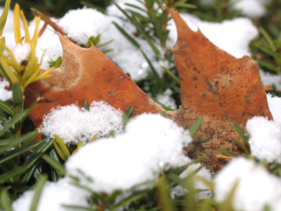 Let me know when you get tired of pictures like this.