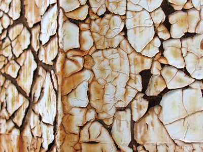 My hands get so dry and chapped during the winter.