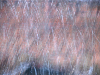 It`s really hard to take a picture of snow falling.