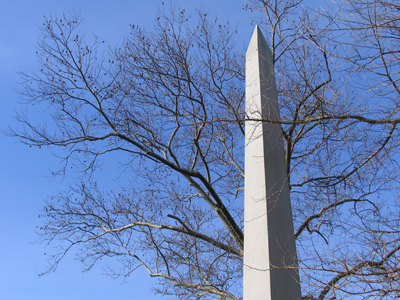 I was summoned to Washington this morning for an urgent consultation.  I told George to go with the yellow tie.