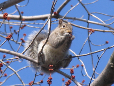 `Mom says you have to come down RIGHT NOW!`