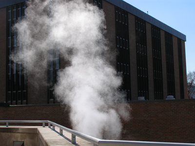 `And what do you wish from your genie?`