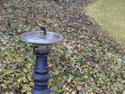 I for one wouldn`t drink out of it.