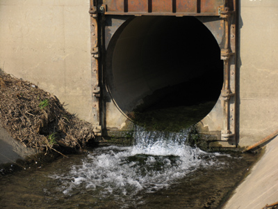 I took a nice cool dip after work today (but now I`ve got these little green spots).