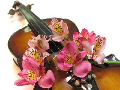 Can you hear the springtime? Violets are the violins Daisies beat a drum.  MARYELLA VAUSE