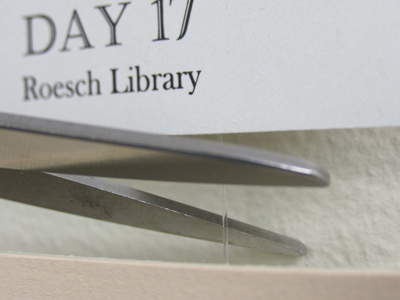 It was a lot easier to take down my photos than it was to hang them.