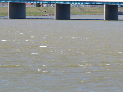 March goes out like a lion.  Those are whitecaps on the river.