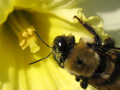 I heard lots of tiny sneezes as I took this.