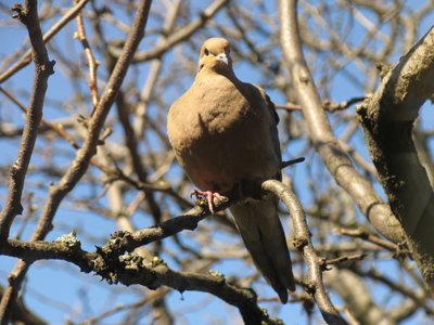One of these mornings, you`re gonna rise up singing.  You`re gonna spread yo` wings and take to the sky.