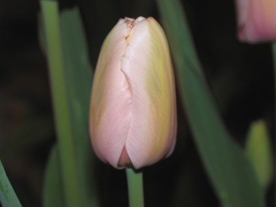 Tuesday 10:00pm.  So once again I carried over into another day.