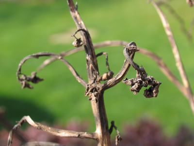 For some, spring ain`t sprung.