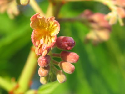 It was cold, I was tired, the sun was setting -- but nature didn`t let me down.