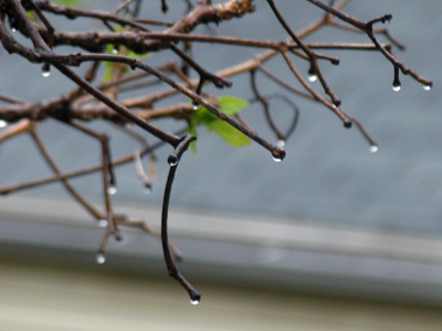 It`s hard to tell here, but it was snowing.