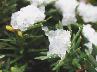 On December 29 or February 10 this was totally appropriate, but not April 24.