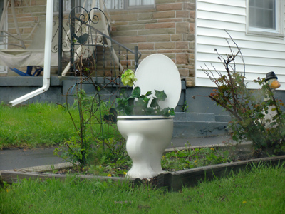 You expect ME to explain it?