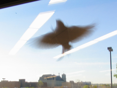  . . . seem meaningless when viewed from another perspective.