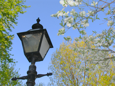 Early evening in the Oregon District.