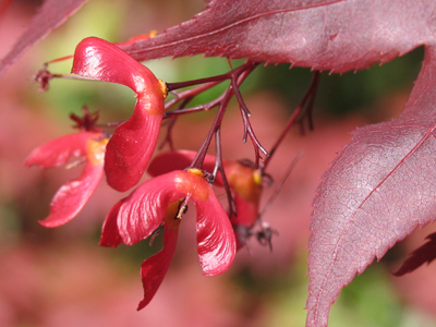 Not yet ready to fly.